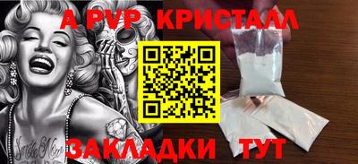 прущие грибы Будённовск