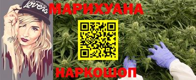 прущие грибы Будённовск