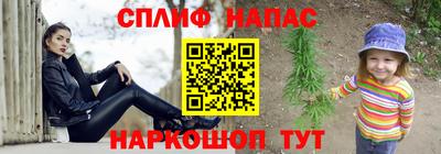 прущие грибы Будённовск