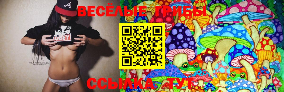 Псилоцибиновые грибы прущие грибы Электросталь
