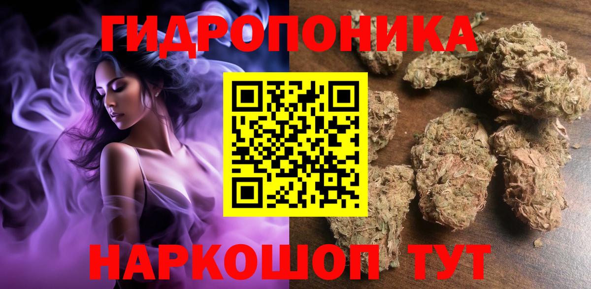 Бошки Шишки план Электросталь